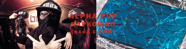 прущие грибы Елизово