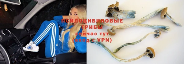 тгк Заволжье