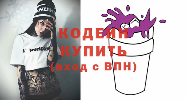прущие грибы Елизово
