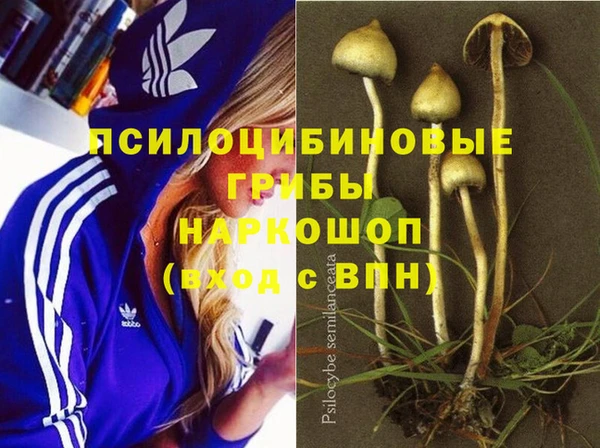 mix Заводоуковск