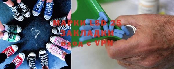 прущие грибы Елизово