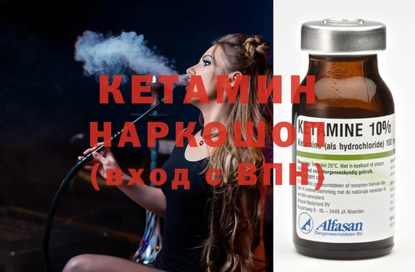 прущие грибы Елизово
