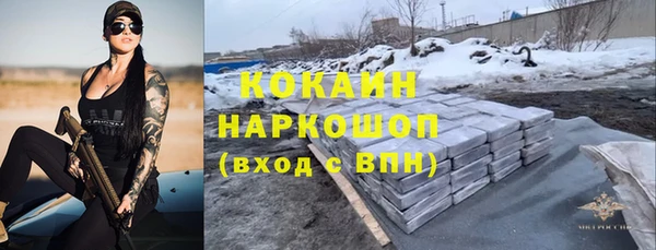 шишки Заволжск
