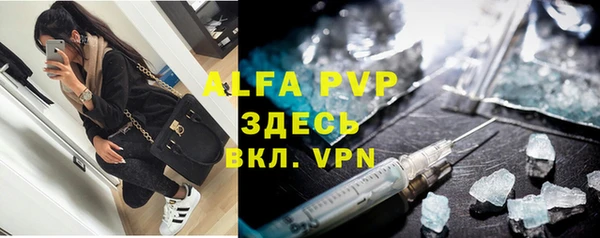 прущие грибы Елизово