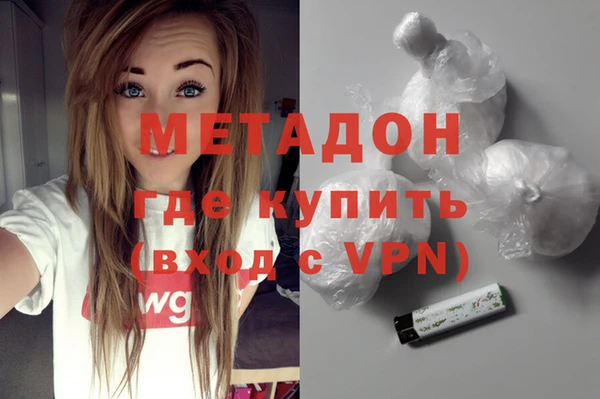 прущие грибы Елизово