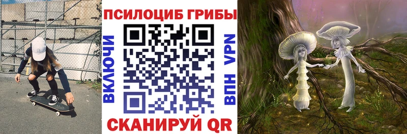 Купить где  Острогожск  Галлюциногенные грибы Cubensis 